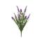 Lavender Star Flower &#x26; Grass Bush